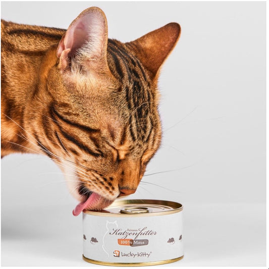 KATZENFUTTER MAUS PUR WELT-EXKLUSIV 1 x 100g